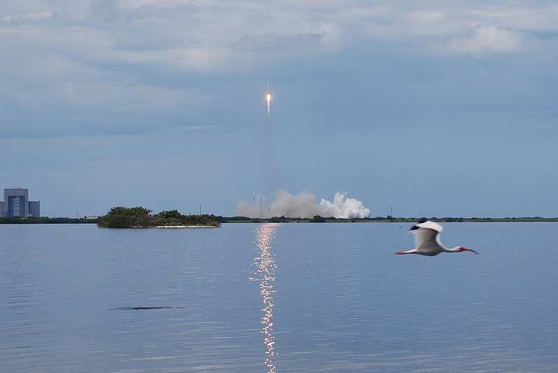 Inaugural SpaceX Falcon 9 soars into orbit